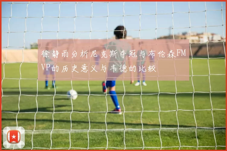 徐静雨分析尼克斯夺冠与布伦森FMVP的历史意义与韦德的比较
