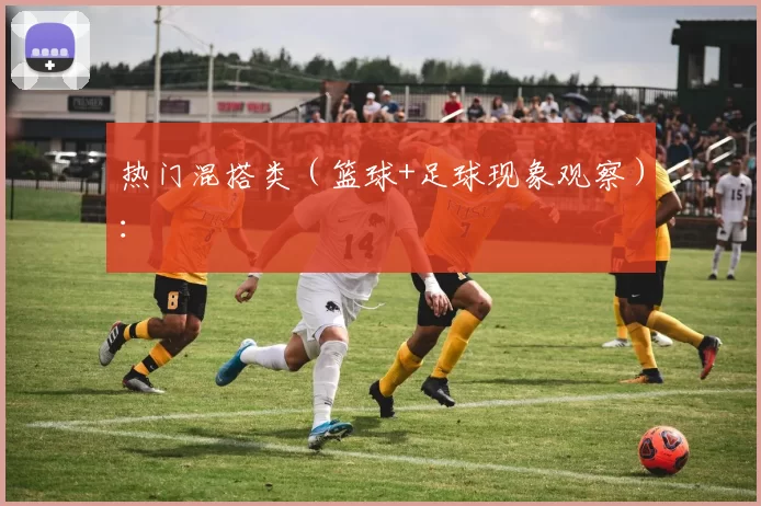 热门混搭类(篮球+足球现象观察):
