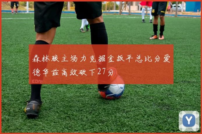 森林狼主场力克掘金扳平总比分爱德华兹高效砍下27分