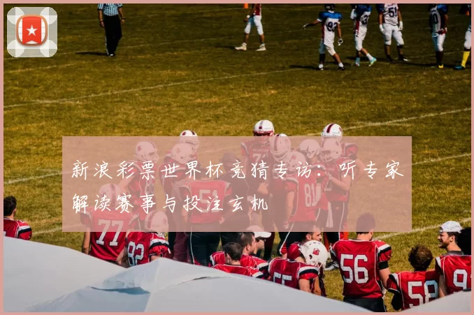 新浪彩票世界杯竞猜专访:听专家解读赛事与投注玄机