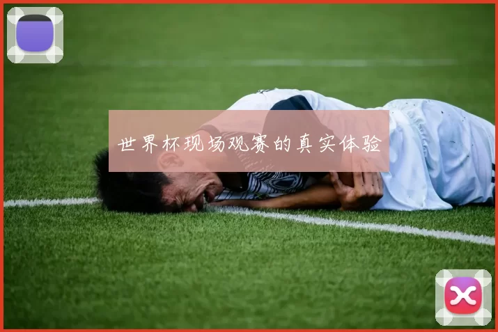 世界杯现场观赛的真实体验