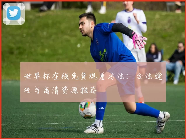 世界杯在线免费观看方法:合法途径与高清资源推荐