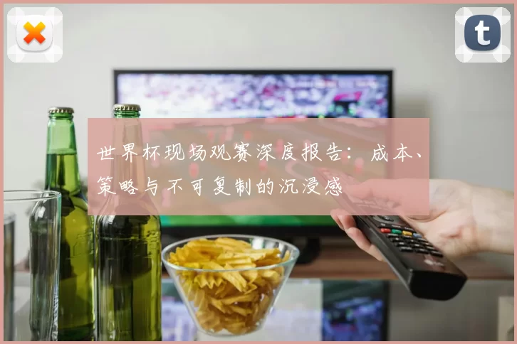 世界杯现场观赛深度报告:成本、策略与不可复制的沉浸感