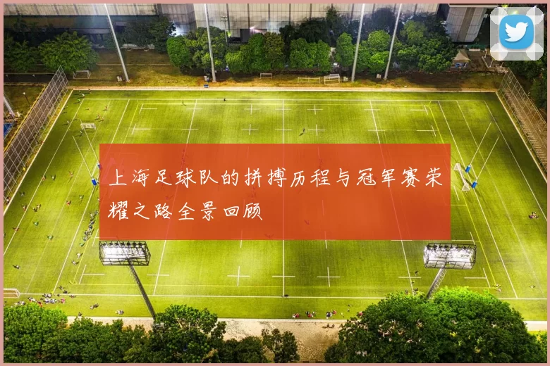 上海足球队的拼搏历程与冠军赛荣耀之路全景回顾