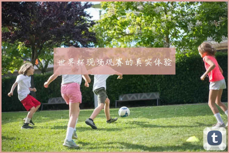 世界杯现场观赛的真实体验