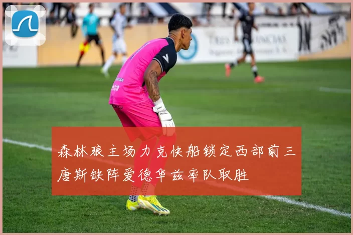 森林狼主场力克快船锁定西部前三唐斯缺阵爱德华兹率队取胜