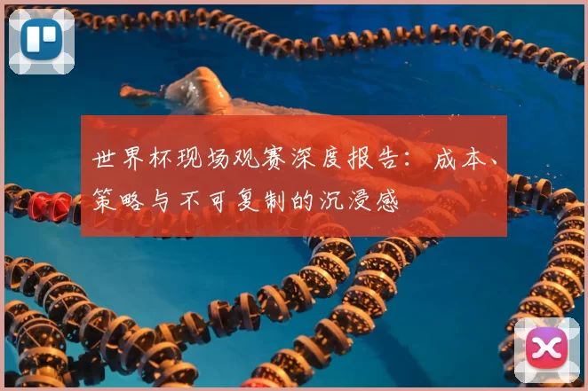 世界杯现场观赛深度报告:成本、策略与不可复制的沉浸感