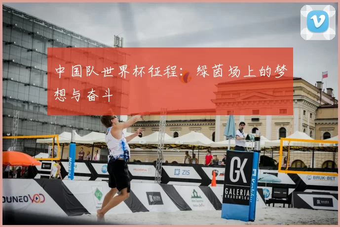 中国队世界杯征程:绿茵场上的梦想与奋斗