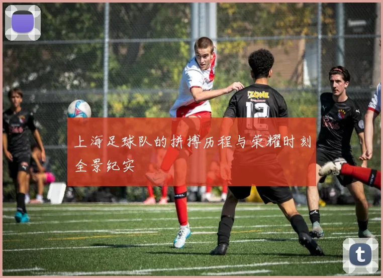 上海足球队的拼搏历程与荣耀时刻全景纪实