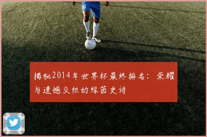 揭秘2014年世界杯最终排名:荣耀与遗憾交织的绿茵史诗